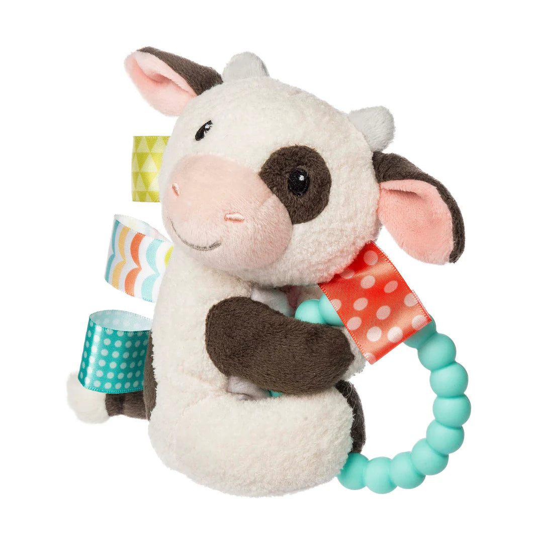 Mary Meyer Teether Rattle